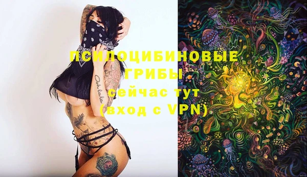 сатива Алексеевка