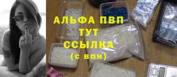 стаф Алексин